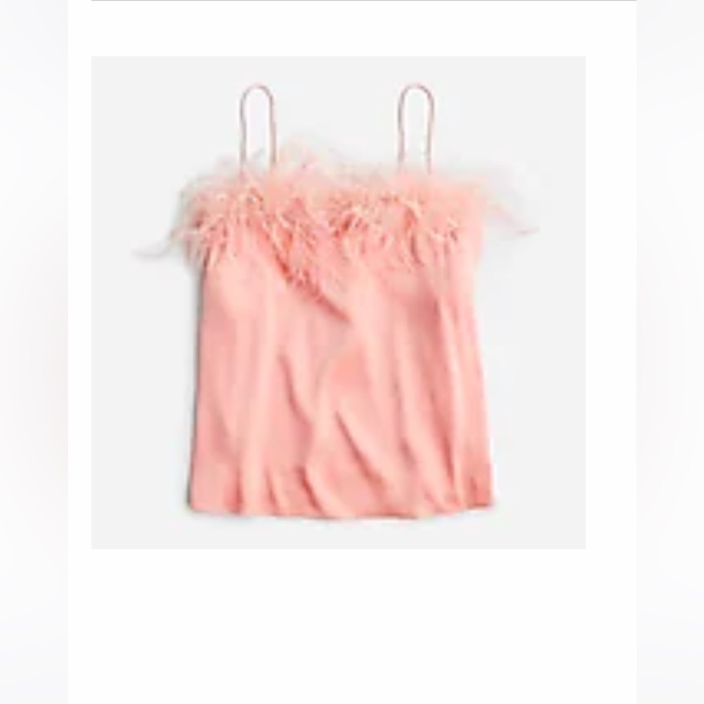 Silk and Feather Top